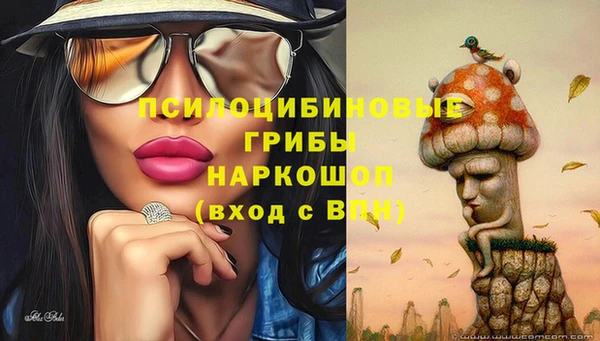 apvp Алзамай