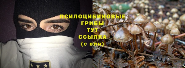 СК Алексеевка