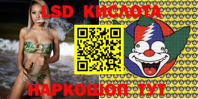 прущие грибы Обнинск