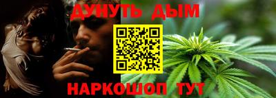 прущие грибы Обнинск