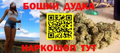крисы Партизанск