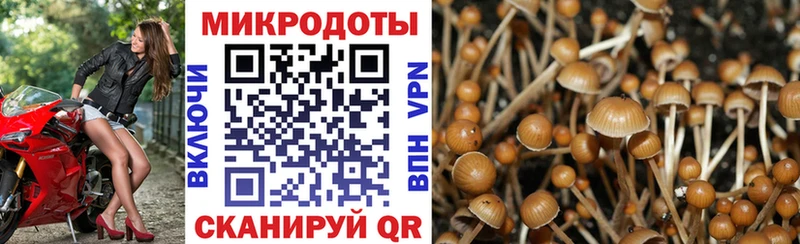 как найти   Югорск  hydra ONION  Псилоцибиновые грибы ЛСД 