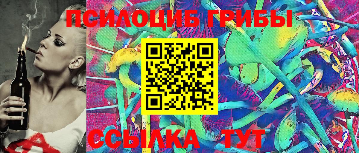 Псилоцибиновые грибы Cubensis Югорск